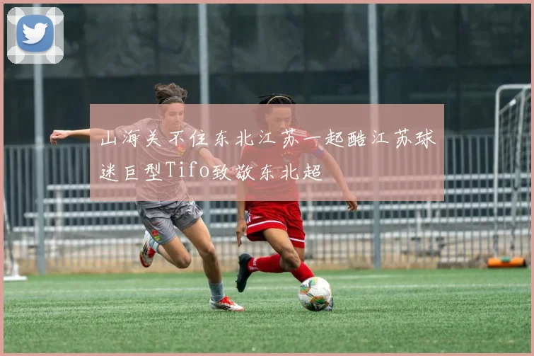 山海关不住东北江苏一起酷江苏球迷巨型Tifo致敬东北超