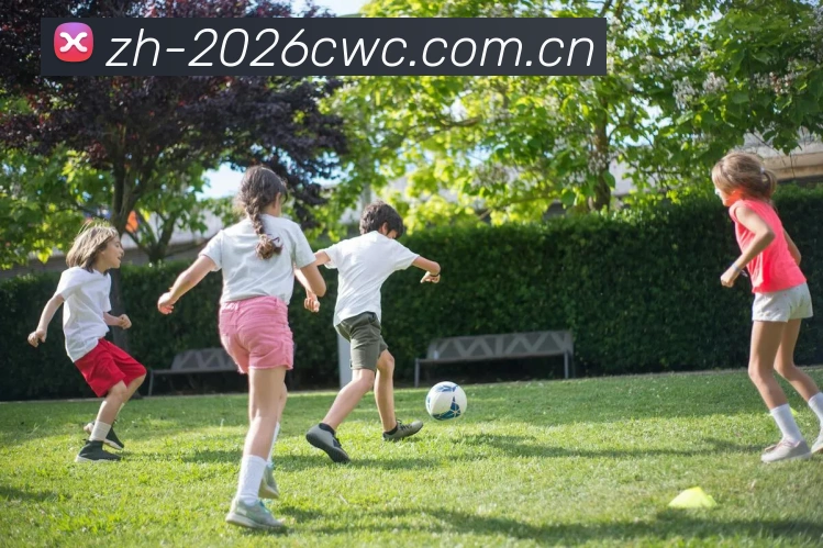 2026世界杯数据服务生态
